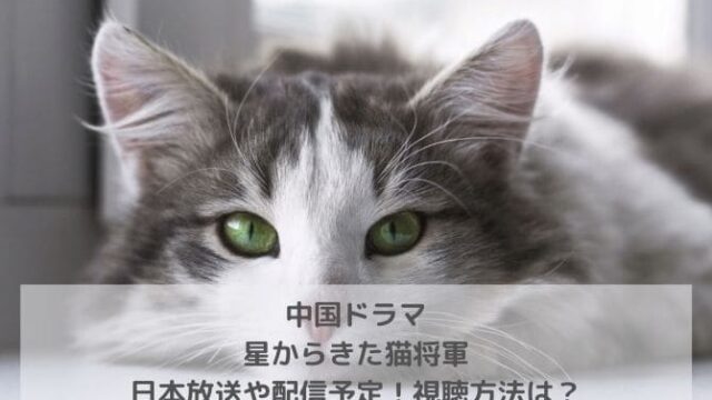 中国ドラマ｜星からきた猫将軍の日本放送や配信予定！視聴方法は？