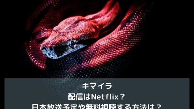 キマイラの配信はNetflix？日本放送予定や無料視聴する方法は？