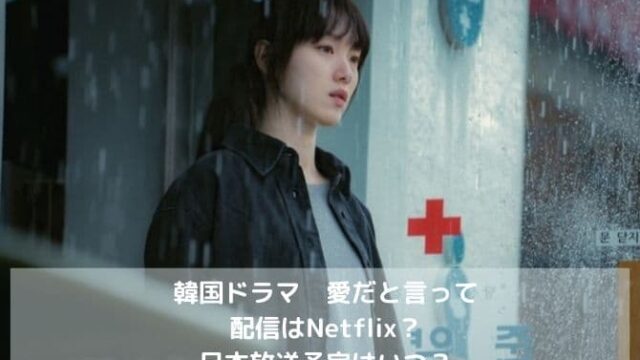 愛だと言っての配信はNetflix？日本放送予定はいつ？