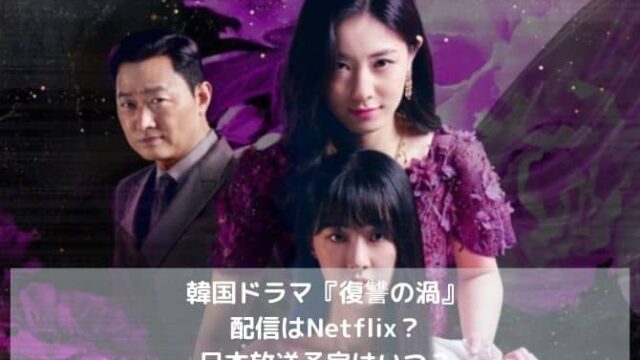 韓国ドラマ復讐の渦の配信はNetflix？日本放送予定はいつ？